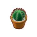 ミニまるサボテン