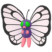 バタフリー(shiny)