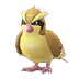 Pidgey