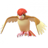 Pidgeotto