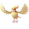 Pidgeot