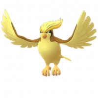 ピジョット(shiny)