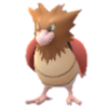 Spearow