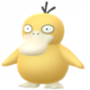 Psyduck