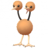 Doduo