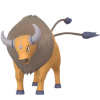 Tauros