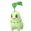 Chikorita