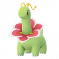 メガニウム