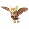 Noctowl