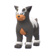 Houndour