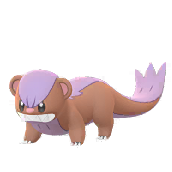 ヤングース(shiny)