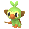 Grookey