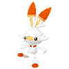 Scorbunny