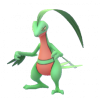 Grovyle