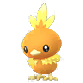 Torchic