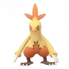 Combusken