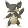 Rattata Alola