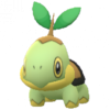 Turtwig