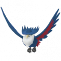 ドンカラス