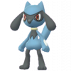 Riolu