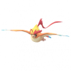 Mega Pidgeot