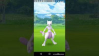 ポケモンgo ハリテヤマ