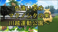 ポケモンgo マクノシタの種族値と覚える技