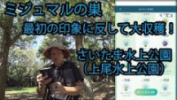 ポケモンgo ミジュマルの種族値と覚える技