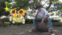 ポケモンgo レディバ