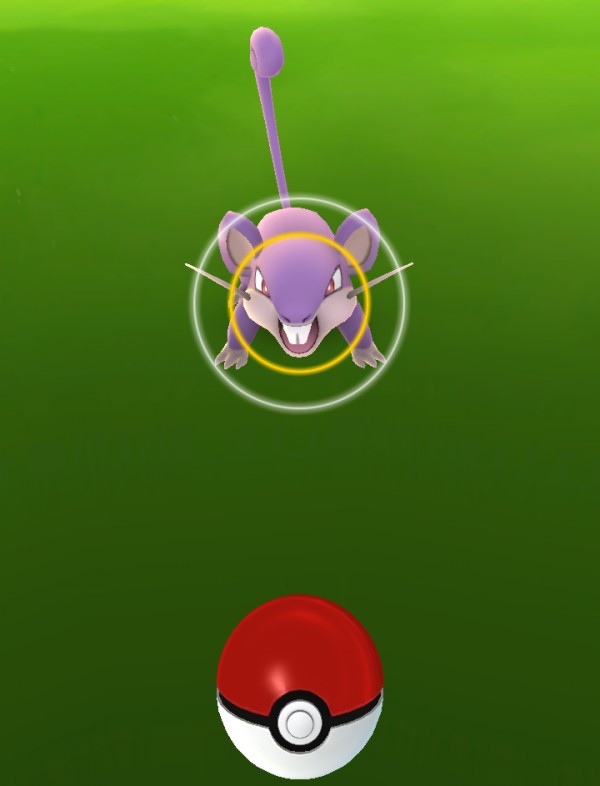 ポケモンgo 捕獲画面に表示されている情報