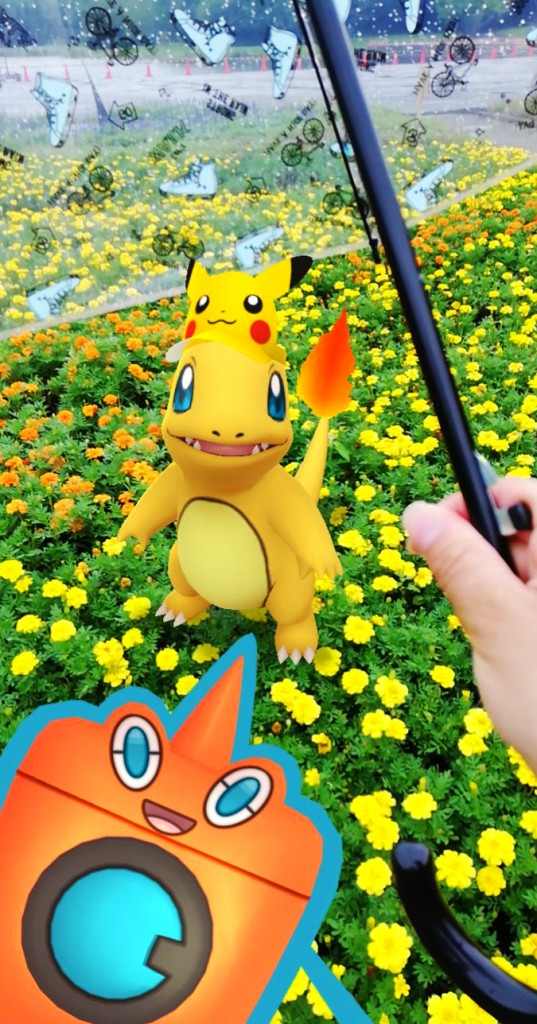 ポケモンgo ずっと欲しかったヒトカゲの色違い 嬉しいです