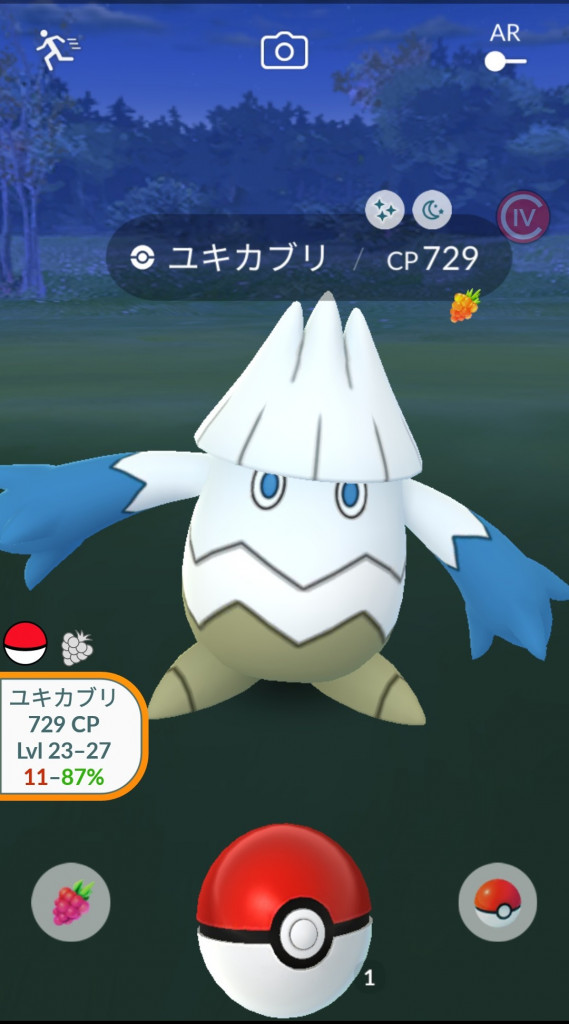 ポケモンgo ユキカブリの色違い 全然出ない出た人居るのかな もう少