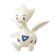 Togetic(shiny)