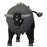 ケンタロス(パルデア単)(shiny)