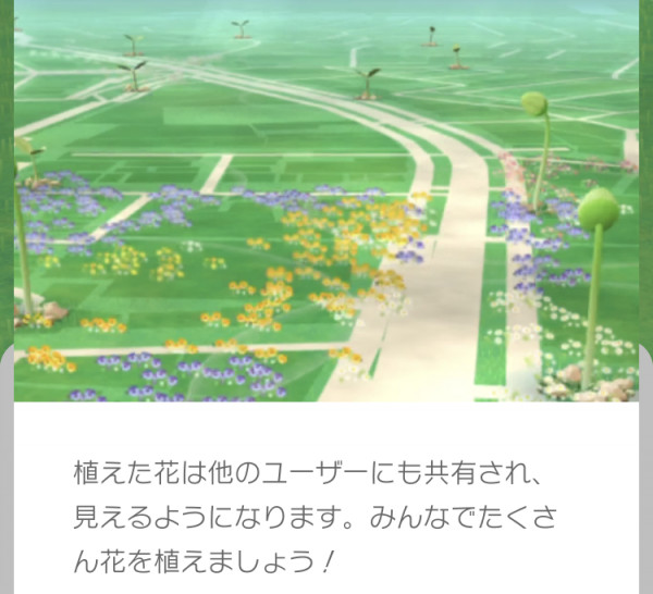 ポケモンgo ピクミンと一緒に歩きながら世界中に花を咲かせよう ピクミンブルームまとめ